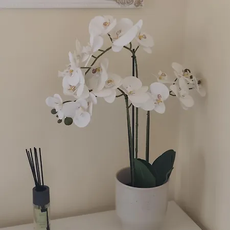 Virginia's Guest Apartament *